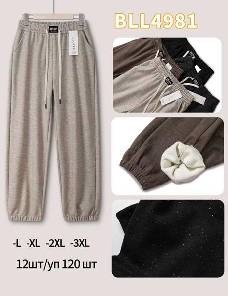 Штаны спорт Giang (L-3XL) G143-4981 mix (зима)