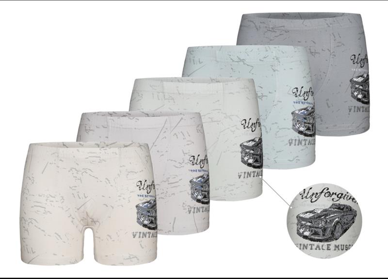 Трусы Disneyopt kids (6-7) 7581B3 mix (6-7) (лето)