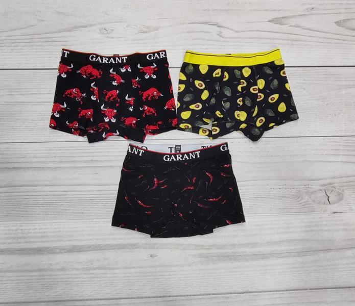 Трусы Imlion (48-56) 310 mix (деми)