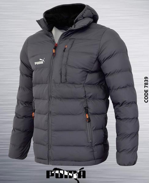 Куртка AZT (46-54) AZ193-7839 grey (деми)