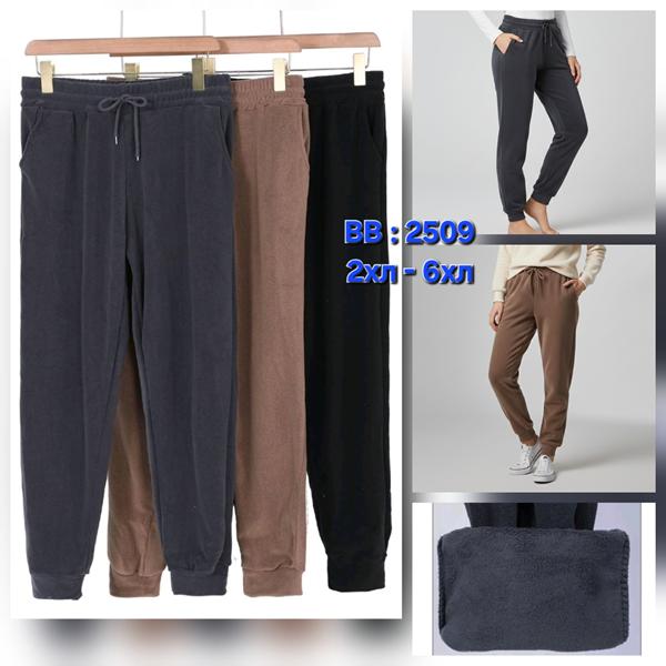 Штаны спорт Hoan (44-54) BB2509 mix (зима)