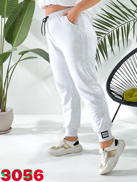 Штаны спорт T.S.Eliot (50-58) 3056 l.grey (зима)