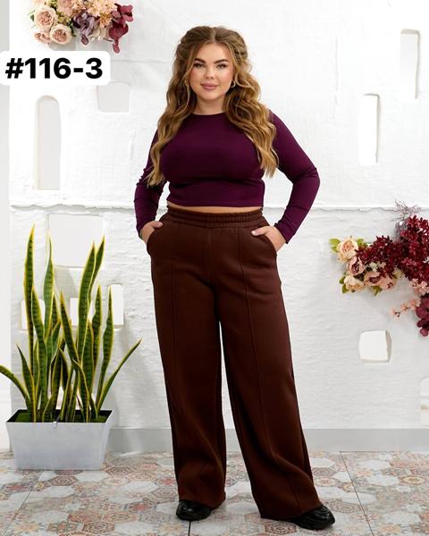 Штаны спорт BAT (42-46) 116-4 brown (зима)