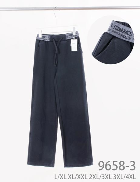 Штаны спорт Kenalin (L-3XL) 9658-3 black (деми)