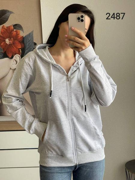 Кофта спорт FSN (46-52) 2487 l.grey (деми)