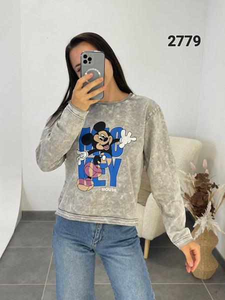 Свитер FSN (42-48) 2779 l.grey (деми)