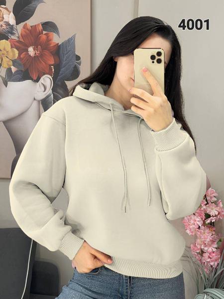 Худи FSN (44-50) 4001 l.grey (зима)