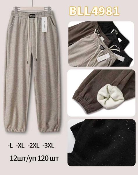 Штаны спорт Anion (M-2XL) BLL4981 mix (зима)