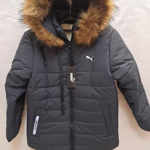 Куртка Giang (6-10) GN17 grey (зима) Giang GN17 grey