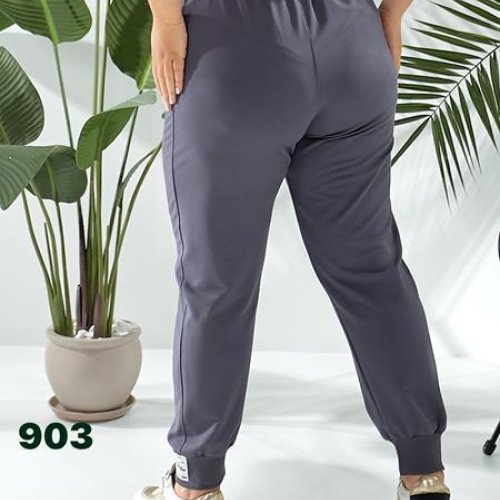 Штаны спорт T.S.Eliot (50-58) 903 grey (деми) T.S.Eliot 903 grey