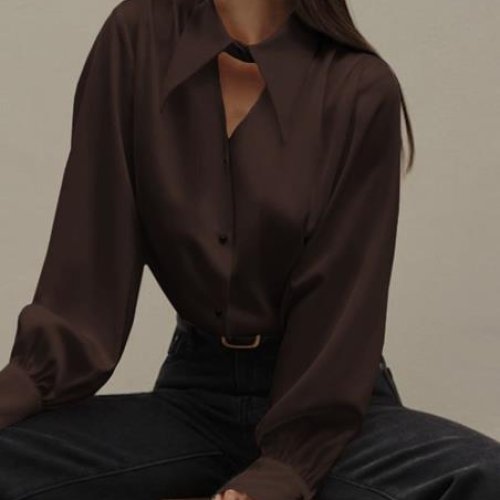 Блузка Modnulya (42-52) 3301 brown (деми) Modnulya 3301 brown