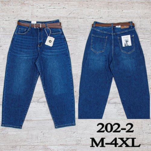 Джинсы UNO2 (M-4XL) 202-2 (деми) UNO2 202-2