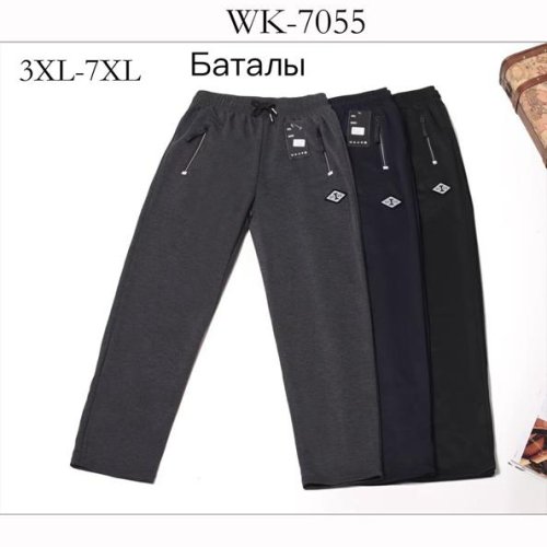 Штаны спорт Giang (3XL-7XL) 7055 navy (деми) Giang 7055 navy