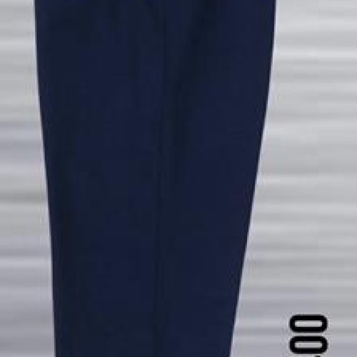 Штаны спорт AZT (2XL-6XL) 4400-1 navy (деми) AZT 4400-1 navy