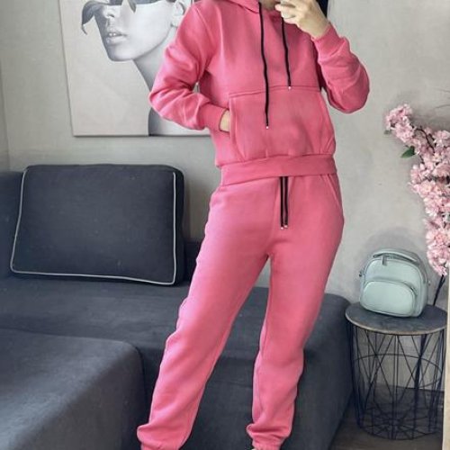 Костюм спорт FSN (46-52) 2621 pink (зима) FSN 2621 pink