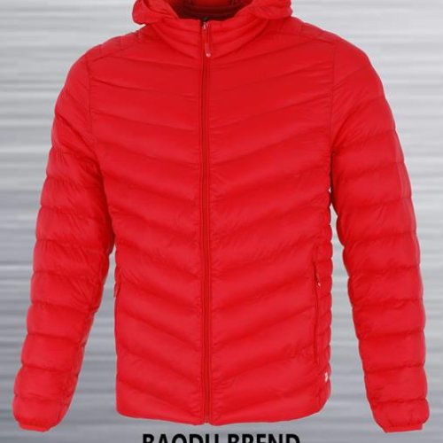 Куртка AZT (46-54) 019 red (деми) AZT 019 red