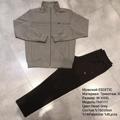 Костюм спорт AZT (M-3XL) TK0111 grey (деми) AZT TK0111 grey