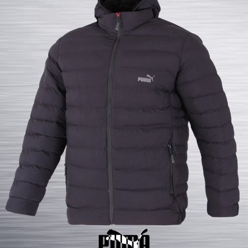 Куртка AZT (52-60) 7811-4 grey (деми) AZT 7811-4 grey