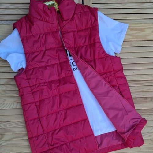 Жилетка Sport style (M-3XL) 01 wine (деми) Sport style 01 wine