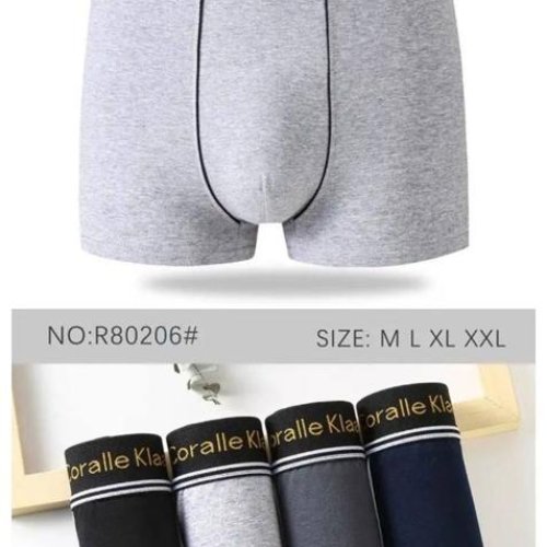 Трусы Comfort (M-3XL) R80206 (деми) Comfort R80206