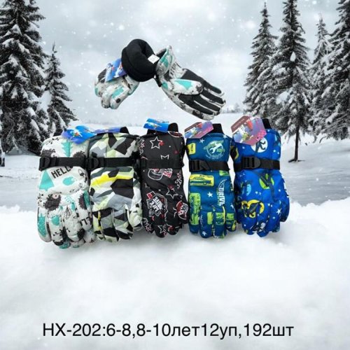 Перчатки Anjela (6-10) HX202 mix (зима) Anjela HX202 mix
