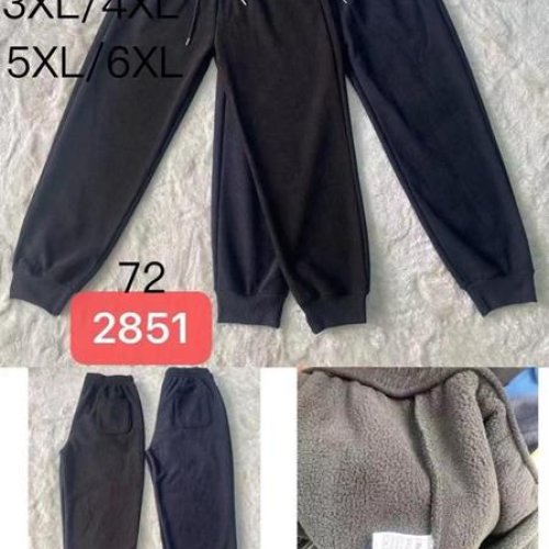 Штаны спорт Redoor (3XL-6XL) 2851 mix (зима) Redoor 2851 mix