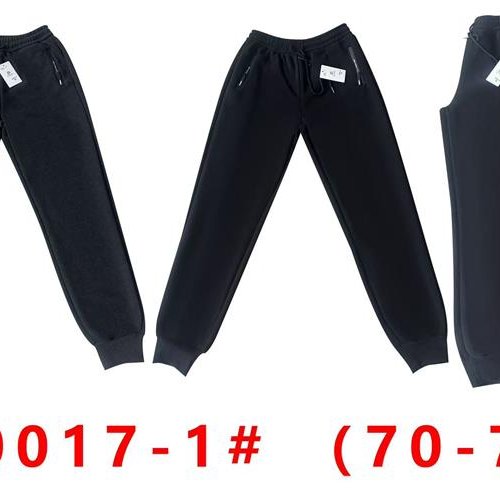 Штаны спорт Giang (70-78) G44-AL0017-1 grey (зима) Giang G44-AL0017-1 grey