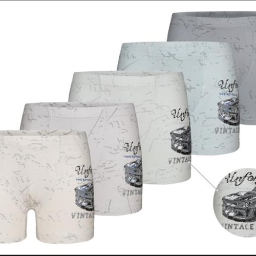 Трусы Disneyopt kids (4-5) 7581B3 mix (4-5) (лето) Disneyopt kids 7581B3 mix (4-5)