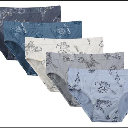 Трусы Disneyopt kids (6-7) 768105 mix (6-7) (лето) Disneyopt kids 768105 mix (6-7)