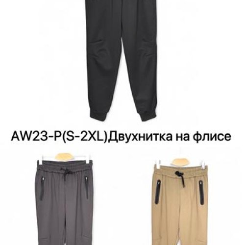 Штаны спорт Ale-Ate (S-2XL) AW23P brown (зима) Ale-Ate AW23P brown