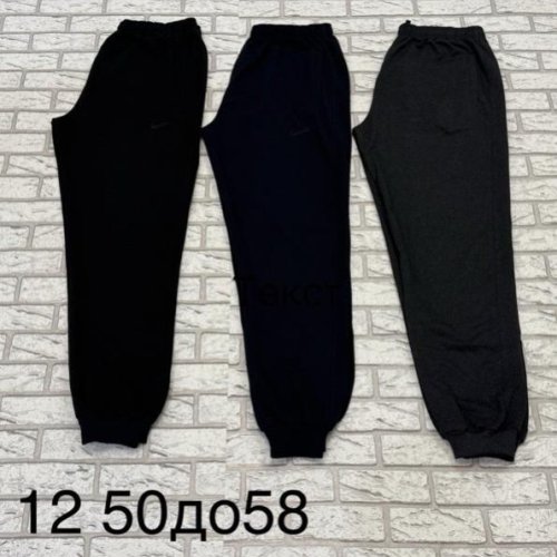 Штаны спорт TRAN (50-58) 12 grey (деми) TRAN 12 grey