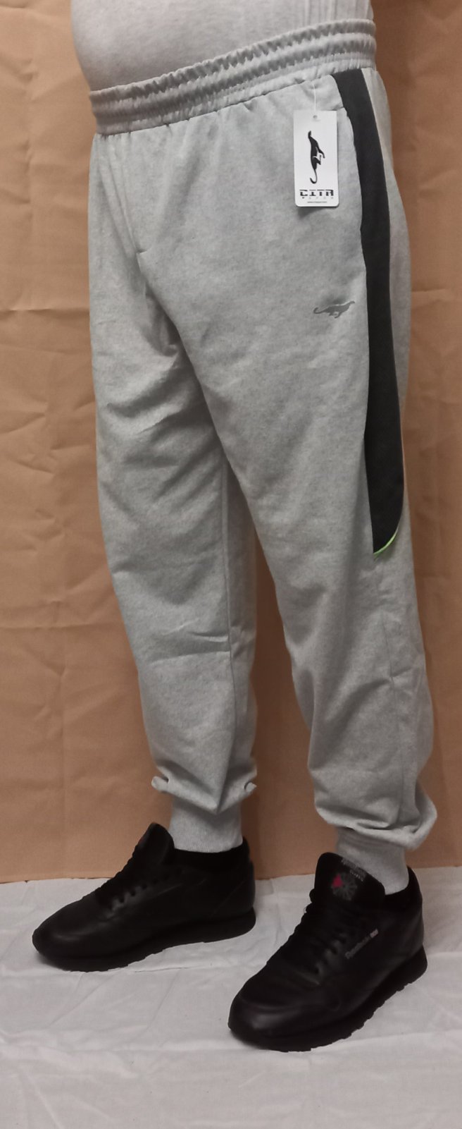 Штаны спорт Red Hat clothes (3XL-5XL) 1689 l.grey (деми)