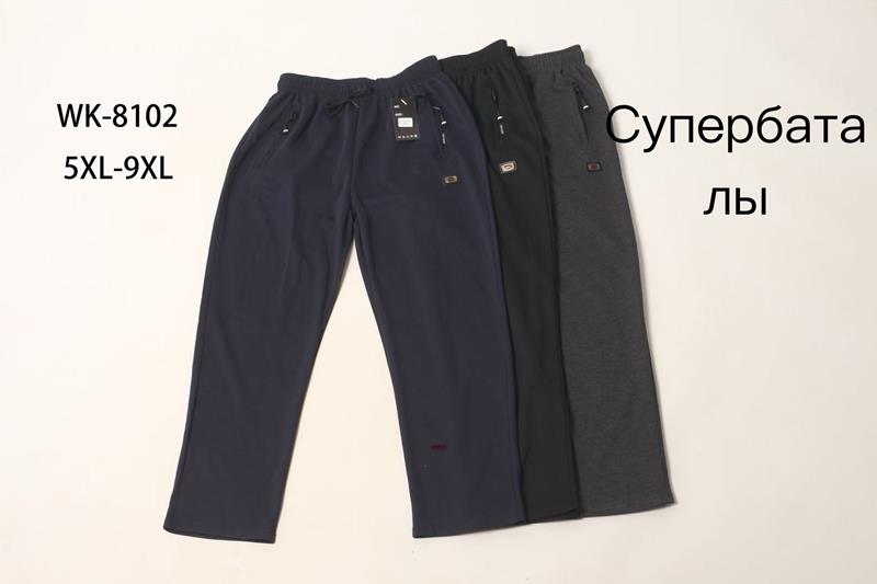 Штаны спорт Giang (5XL-9XL) 8102 black (деми)