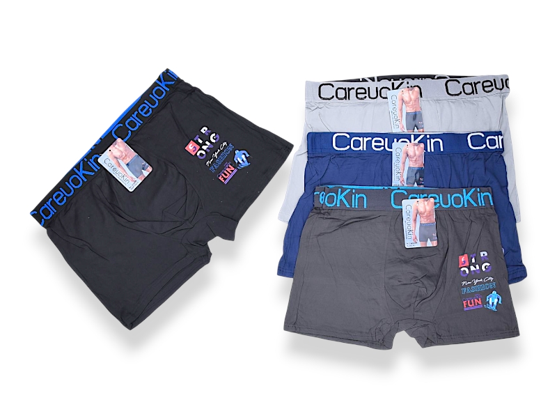 Трусы Jelzin (XL-3XL) A5580 mix (деми)