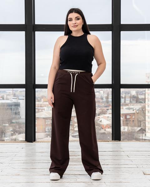 Штаны спорт AZNA (L-3XL) Б1152 brown (деми)