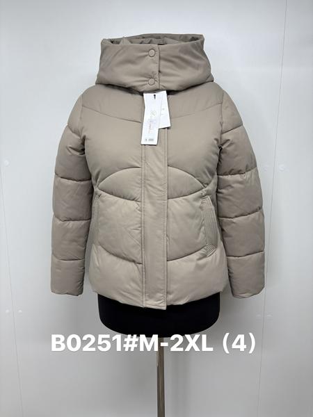 Куртка Jacket (M-2XL) B0251 beige (деми)