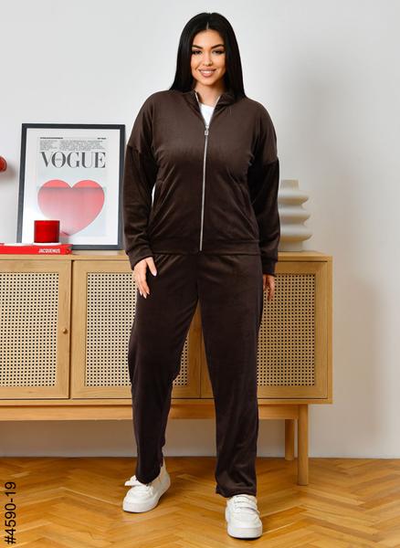 Костюм спорт OdesaOpt (48-52) 4590-19 brown (деми)