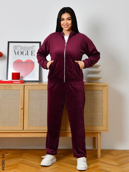 Костюм спорт OdesaOpt (48-52) 4590-14 wine (деми)