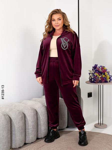 Костюм спорт OdesaOpt (54-58) 1239-13 wine (деми)