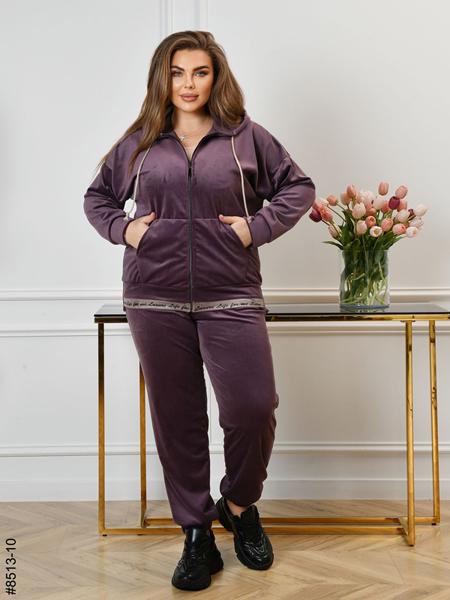 Костюм спорт OdesaOpt (56-62) 8513-10 purple (деми)