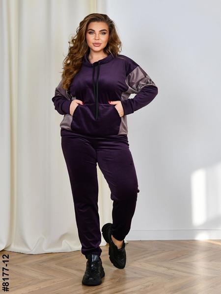 Костюм спорт OdesaOpt (54-60) 8177-12 purple (деми)