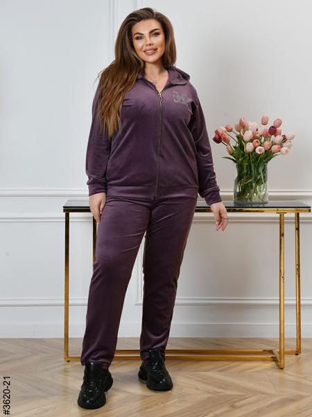 Костюм спорт OdesaOpt (54-58) 3620-21 purple (деми)