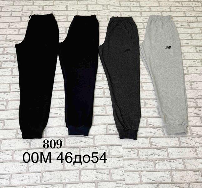 Штаны спорт Shon (46-54) 00M-1 navy (деми)