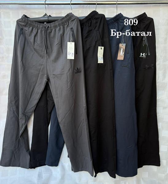 Штаны спорт Shon (56-64) BR1 black (деми)