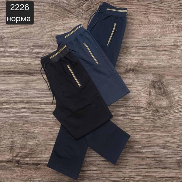 Штаны спорт Moranny (S-2XL) 2226 d.grey (деми)