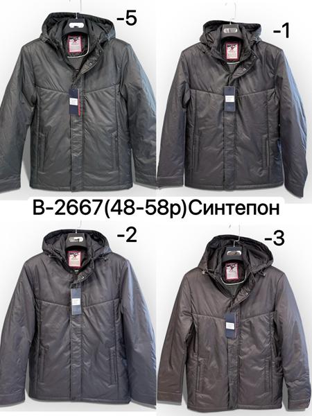 Куртка LiOpt (48-58) B2667-1 black (деми)