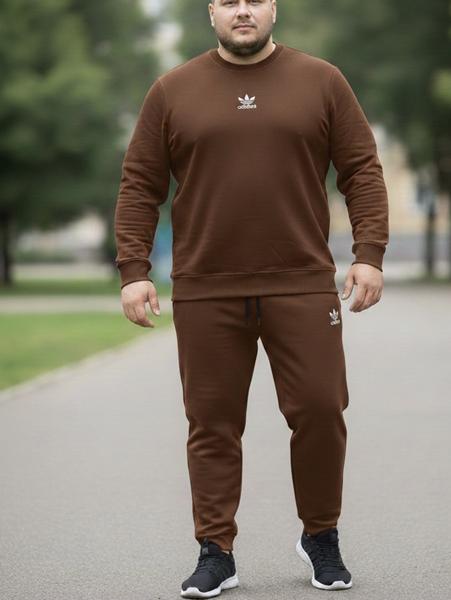 Костюм спорт Zalov (54-62) ZW1212 brown (деми)