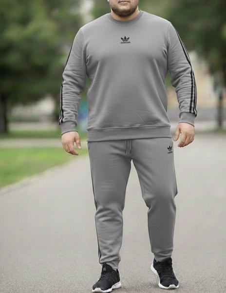 Костюм спорт Zalov (54-62) ZW1214 grey (деми)