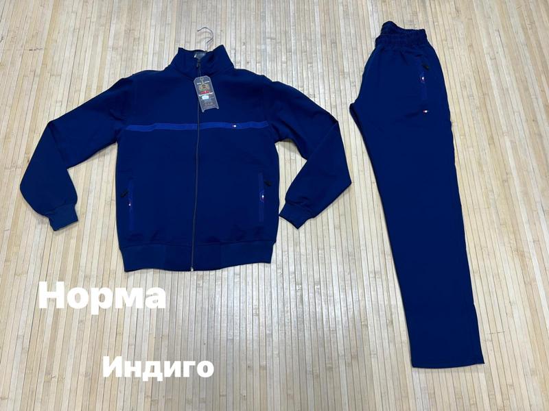 Костюм спорт Navas (M-2XL) NV1102 blue (деми)