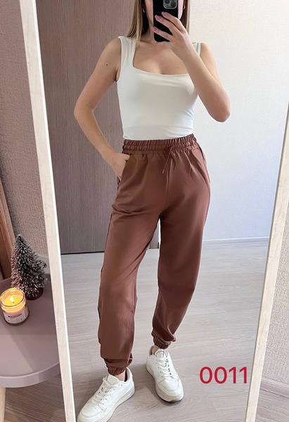 Штаны спорт FSN (44-48) 0011 brown (деми)